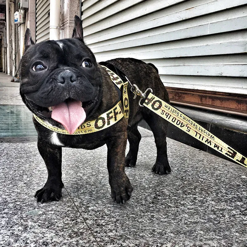 Color: Yellow, Size: M - Fashion Dog Collar Leash Set Gold Chain Nylon Pets Dog Collar Leash Long Rope Lettered Collar Perro Collar For Pitbull Puppy Dog - Image 2
