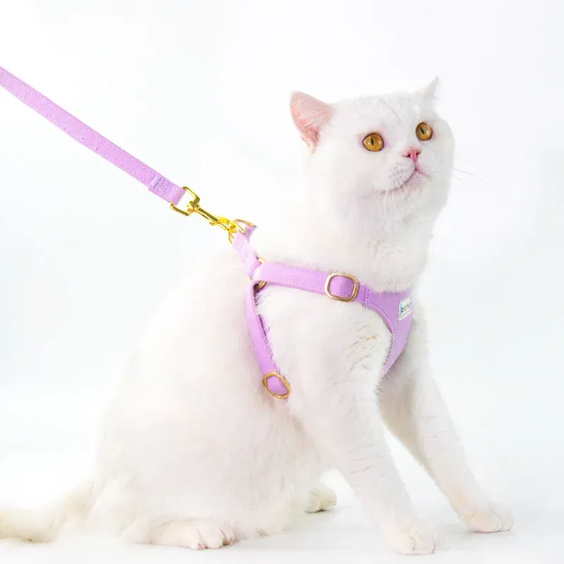 Color: PURPLE, Size: S - Puppy Harness with Multifunction Leash Set Dog Harness Vest for Small Dogs No Pull Step in Harness for Extra Small Dogs 2024 New - Image 5