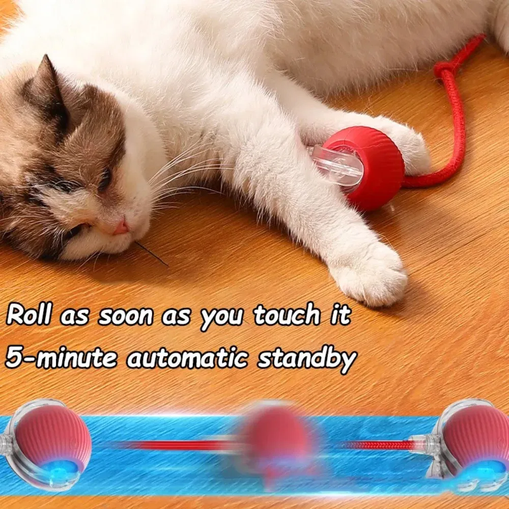 Color: RED COLOR - New Cat Interactive Ball Toy Automatic Rolling Ball Faux Tail Rechargeable Smart Pet Electric Toy Dog Cat Training Imitate Mouse - Image 7