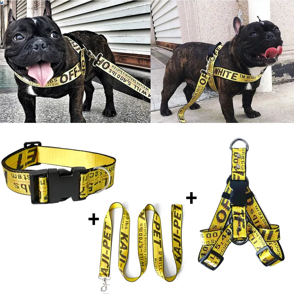 Color: Yellow, Size: M - Fashion Dog Collar Leash Set Gold Chain Nylon Pets Dog Collar Leash Long Rope Lettered Collar Perro Collar For Pitbull Puppy Dog