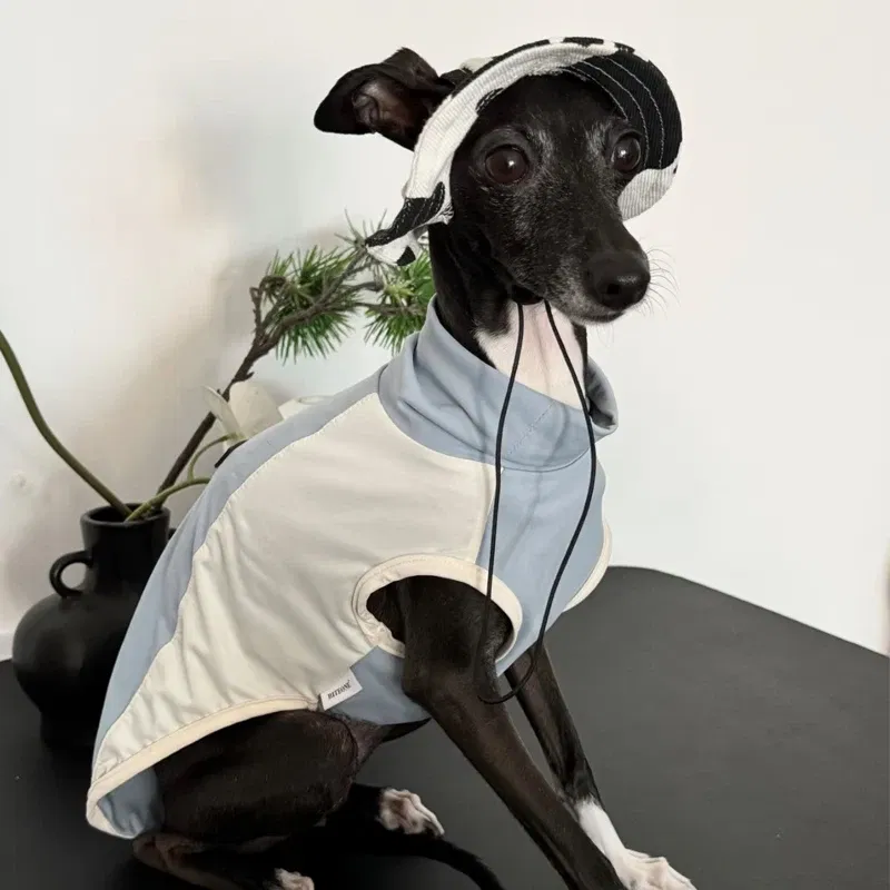 Color: Red, Size: S - Summer Little Greyhound Sunscreen Hat Outdoor Hat Ear Holes Adjustable Cap for Whipbit Breathable Cool Hat for Small Media Dogs - Image 2
