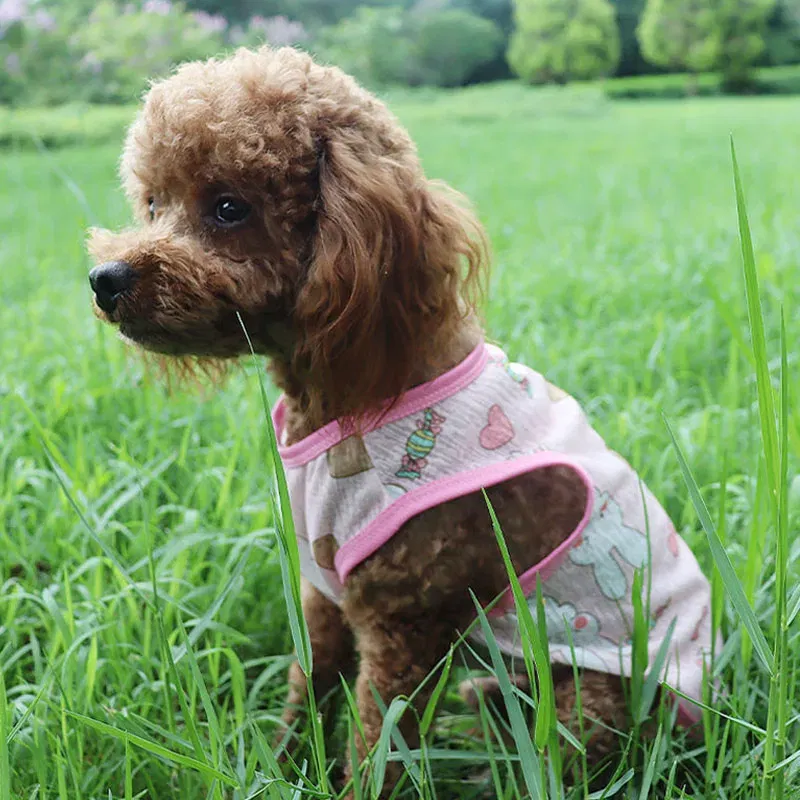 Color: WHITE, Size: XL - Summer Dog Vest Ultra Thin Breathable Mesh Cloth Pet T-shirt for Small Dogs Cute Cartoon Print Puppy Cat Cheap Clothes Costumes - Image 5