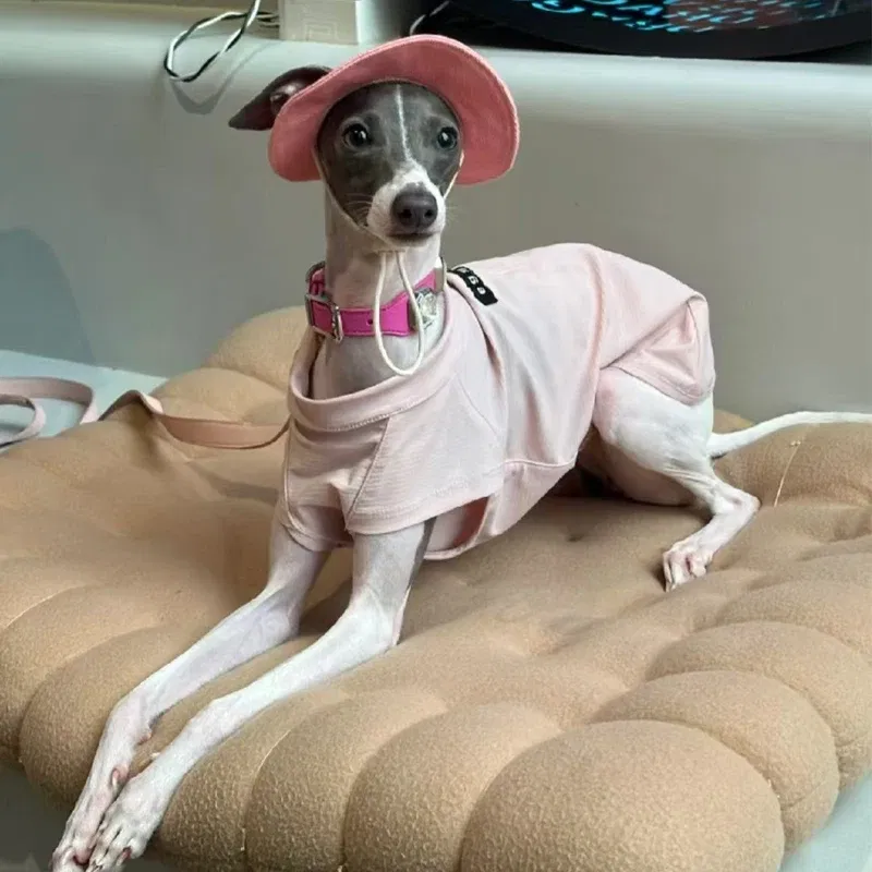 Color: Red, Size: S - Summer Little Greyhound Sunscreen Hat Outdoor Hat Ear Holes Adjustable Cap for Whipbit Breathable Cool Hat for Small Media Dogs - Image 3